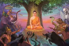 buddha-is-enlightened