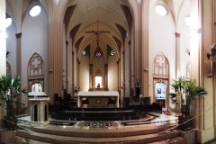 Catedral Botucatu (4)