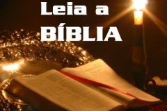 Bíblia Online (8)